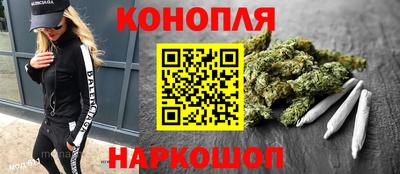 мяу мяу мука Новозыбков