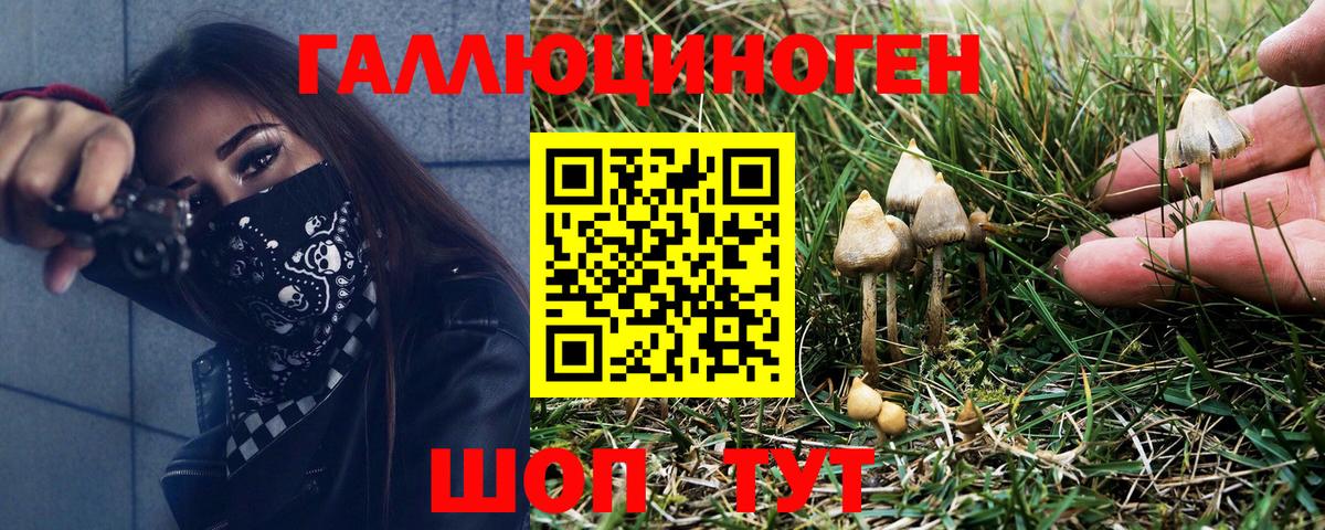 Псилоцибиновые грибы Psilocybine cubensis  Псилоцибиновые грибы Psilocybine cubensis  Вход с VPN  Пятигорск 